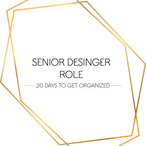 senior designer role
